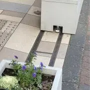 値下げOK！秋菜の画像