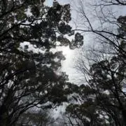yuam＊＊の画像