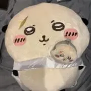 Sの画像