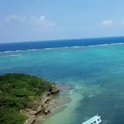 SEAの画像
