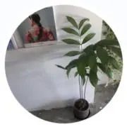 ☺︎の画像