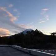 あまとうの画像