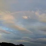 N40の画像