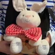 うさぎ