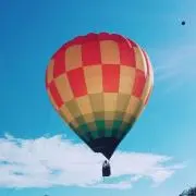 さくらの画像