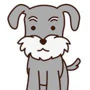 シュナの画像