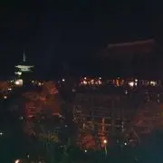 yoshiの画像