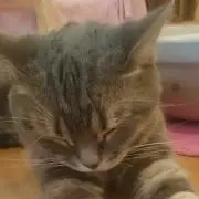 まりー