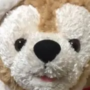 みぃの画像