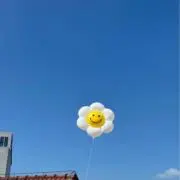 Hisaの画像