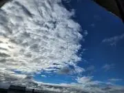 くーの画像