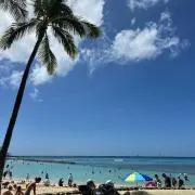 さゆの画像