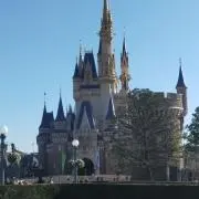シンゴ