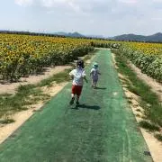 ひとみの画像