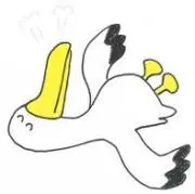 YMの画像