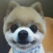 furufuruの画像