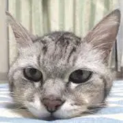 ★aki★即購入◎の画像