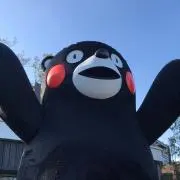 なかやんの画像