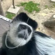 釣り人