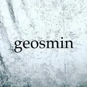 geosminの画像
