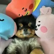 tata