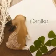 capikoの画像