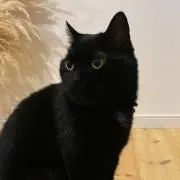 きら