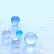 ダイちゃんの画像
