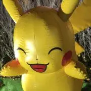 ピカチマニア　即決可能