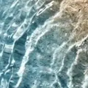 山本の画像
