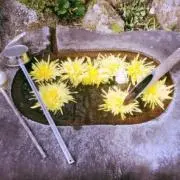 ＊Komeko＊の画像