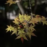 赤壁