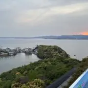 たけしの画像