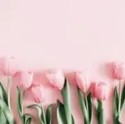 ころんの画像