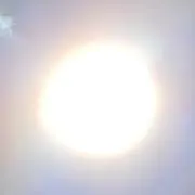 hEE369の画像