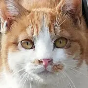 そら