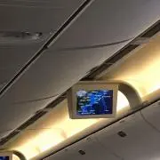 kimの画像
