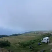 イイヤマの画像