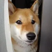 ひろの画像