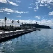 りんごの画像