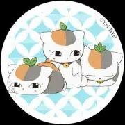 にゃんこ先生