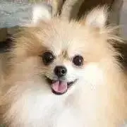 riruriruの画像