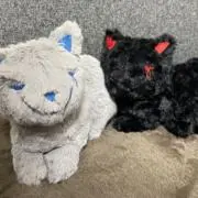 MIYAの画像