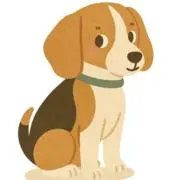 パスタの画像