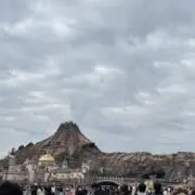 つばさ