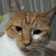ゆう