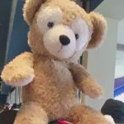 さくらんぼの画像