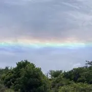 あかゆしの画像