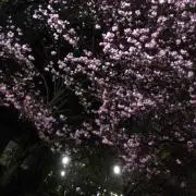 ⭐︎週末値下⭐︎の画像