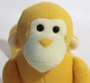 きざる